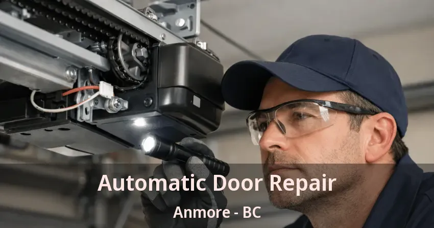 Automatic Door Repair Anmore - BC