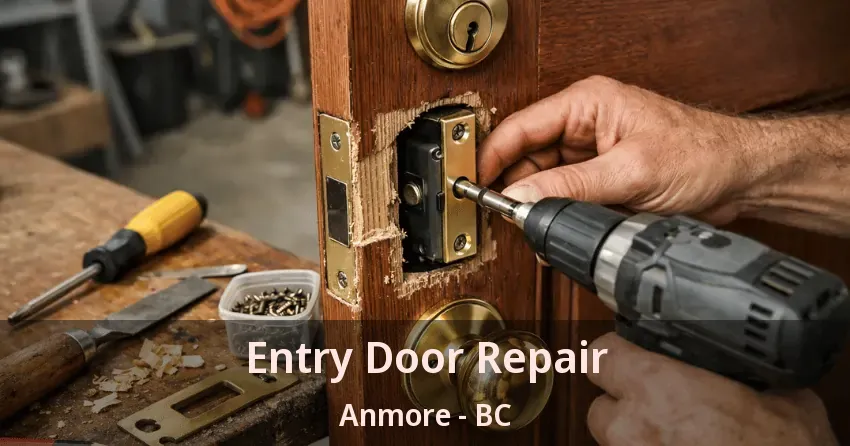 Entry Door Repair Anmore - BC