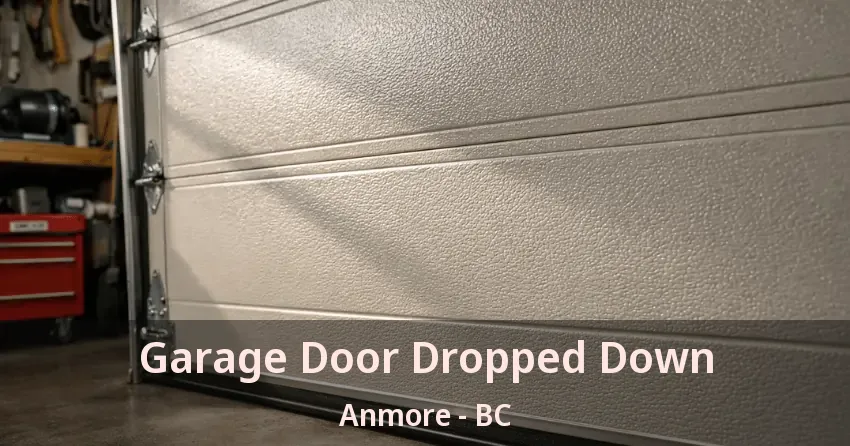 Garage Door Dropped Down Anmore - BC