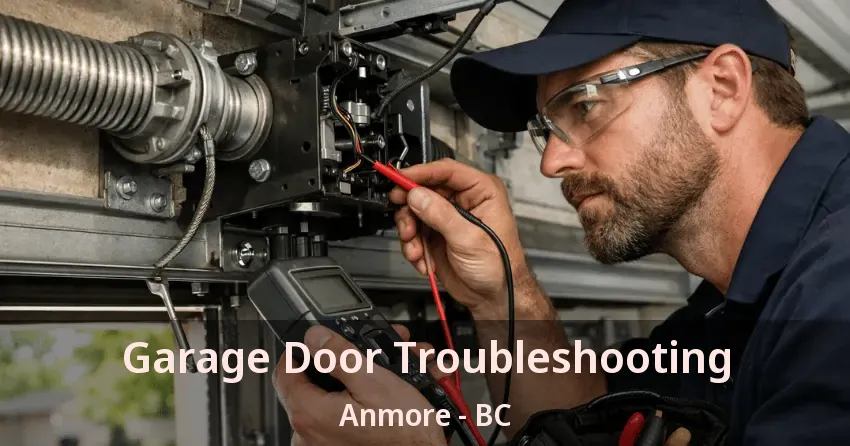Garage Door Troubleshooting Anmore - BC