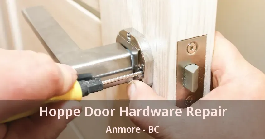 Hoppe Door Hardware Repair Anmore - BC