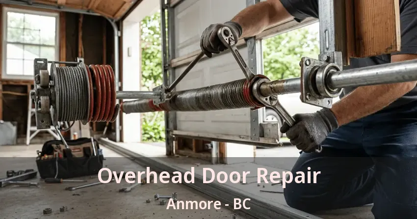 Overhead Door Repair Anmore - BC
