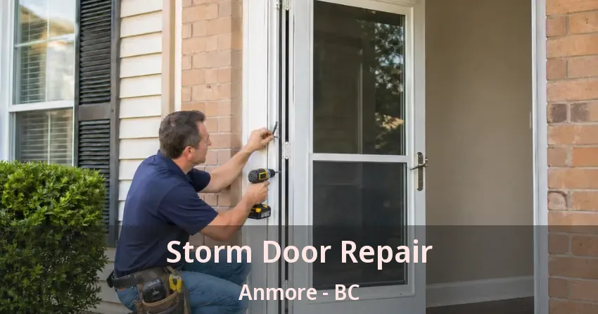 Storm Door Repair Anmore - BC